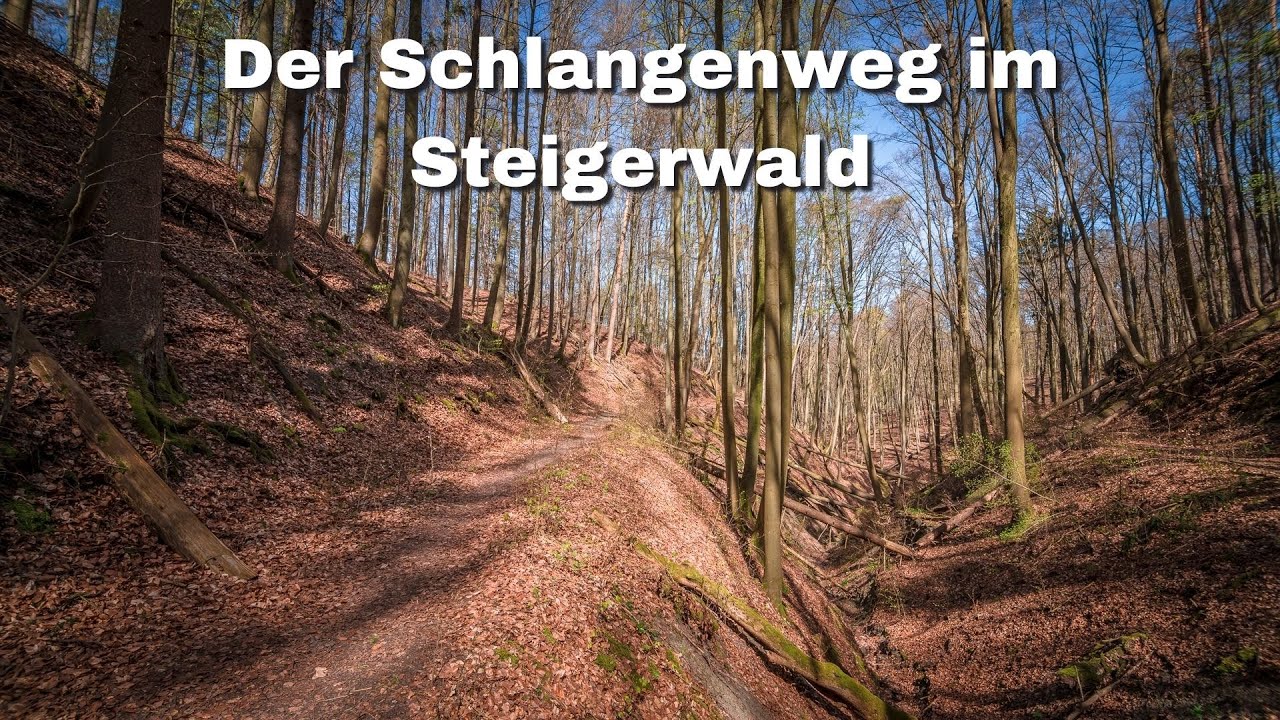🌳 Wanderung auf dem Schlangenweg im Steigerwald / Franken