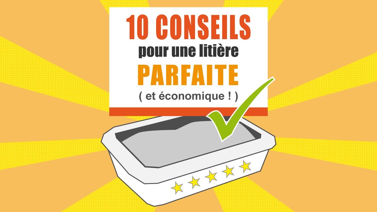 10 CONSEILS pour une litière PARFAITE (et économique)