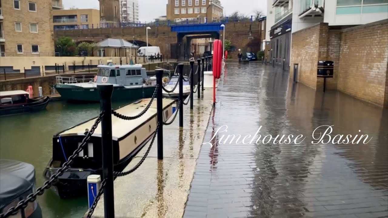 Wind Down With The Sound of Heavy Rain on a Calming Walk.