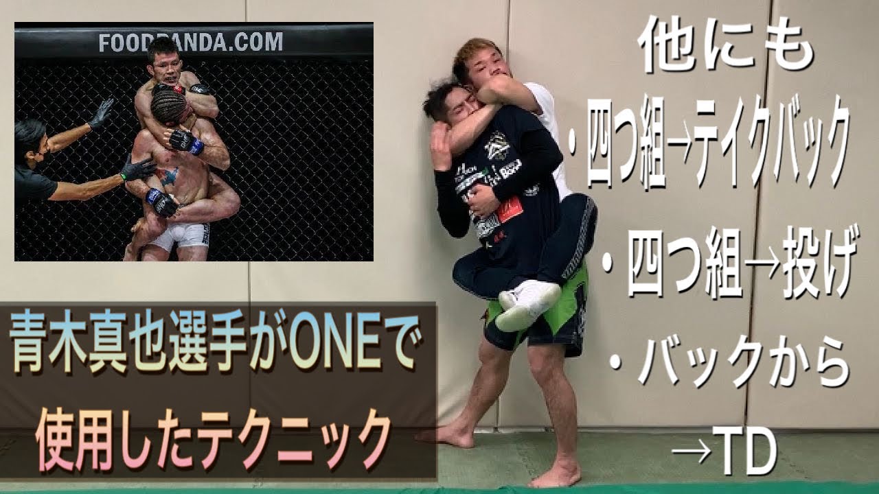 青木真也選手の試合での技術や、四つ組からのTDへの展開。