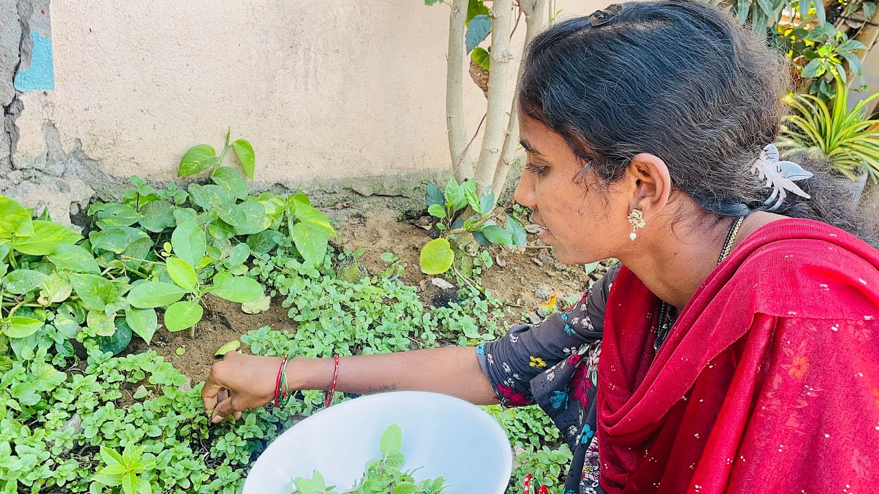 నులి పురుగులకు మంచి ఔషధం ఈ పుదీనా#allinonesirisha #healthy #green #healthyfood 