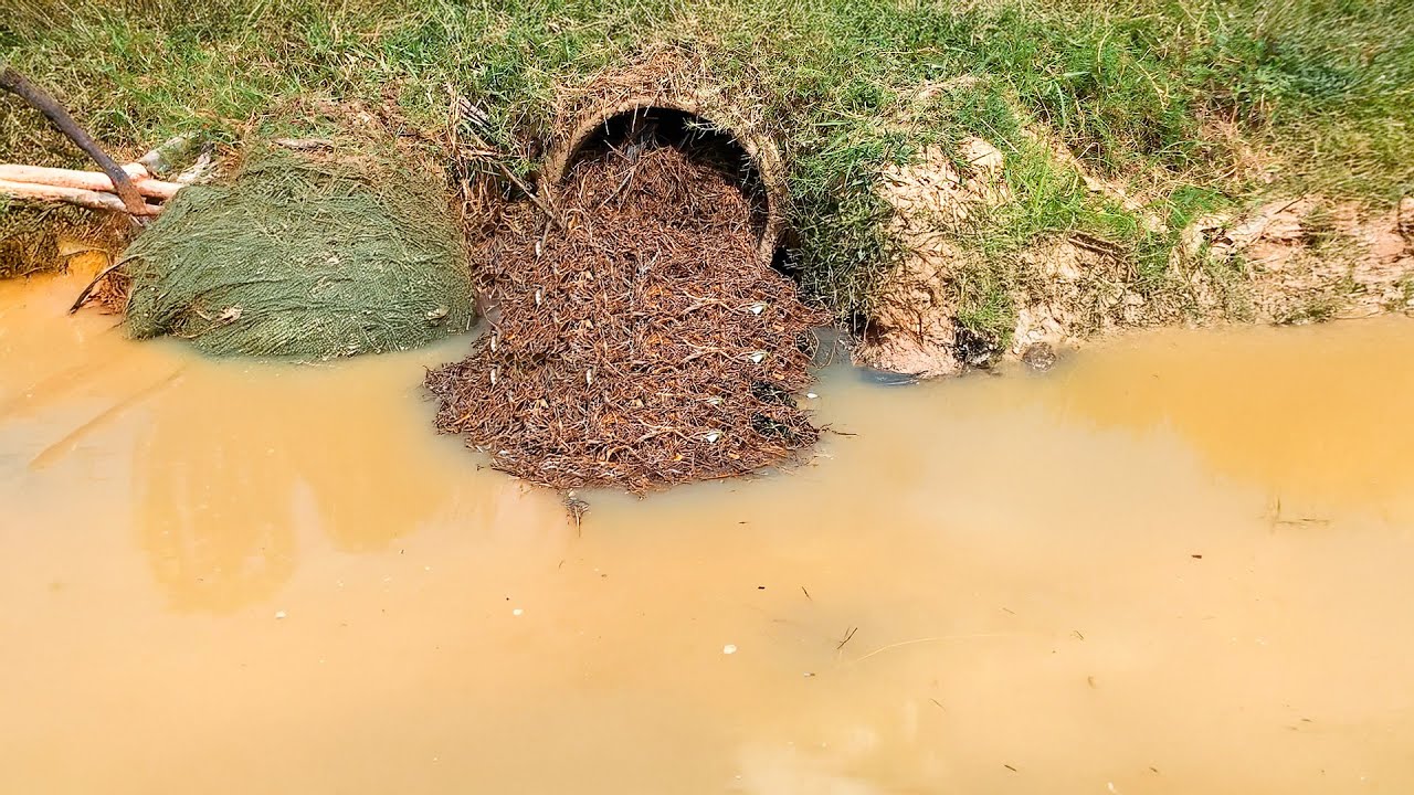 Massive Culvert Blockage Removed  Instant Water Release