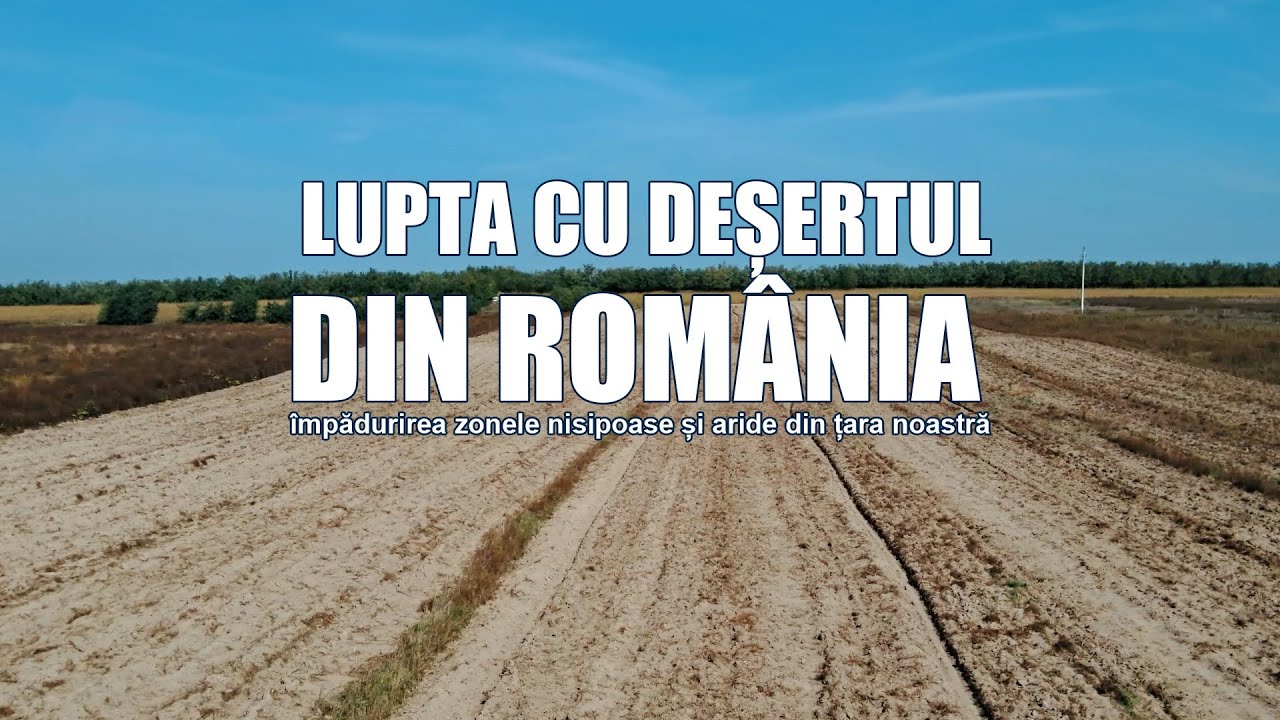 Lupta cu Deșertul din România