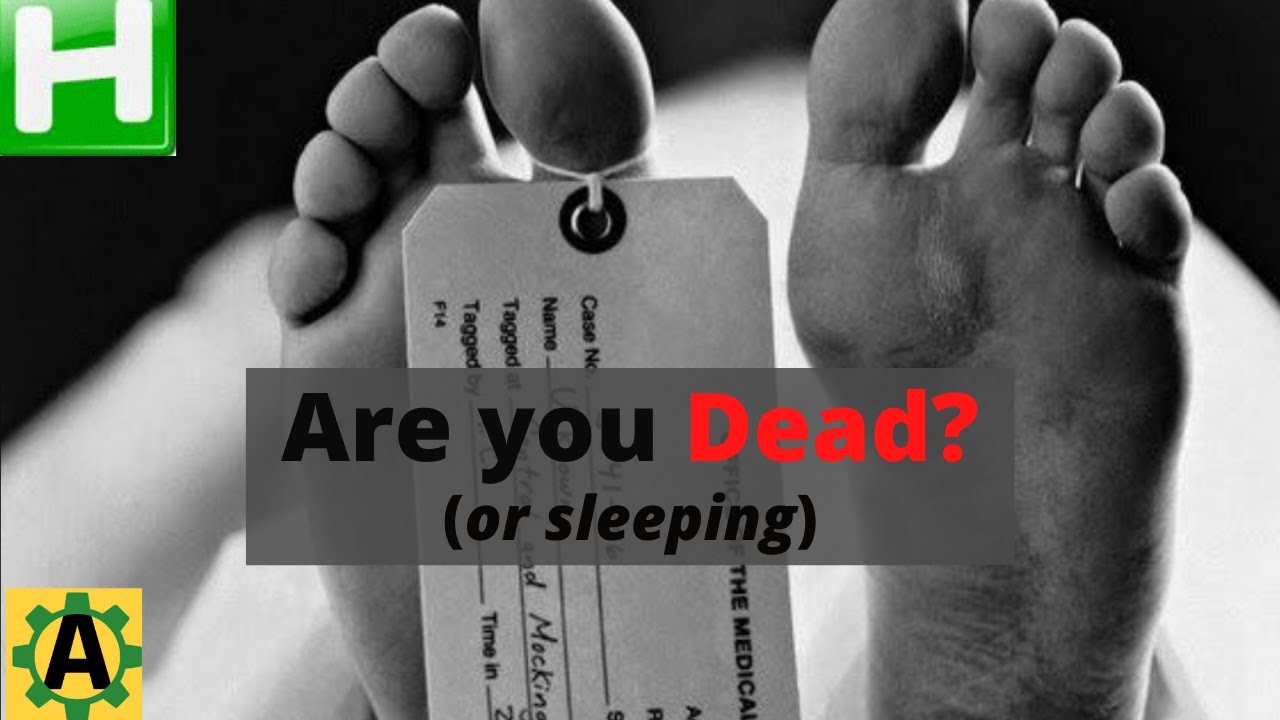 Are You Dead?  Use this script to auto-timeout unless you do something