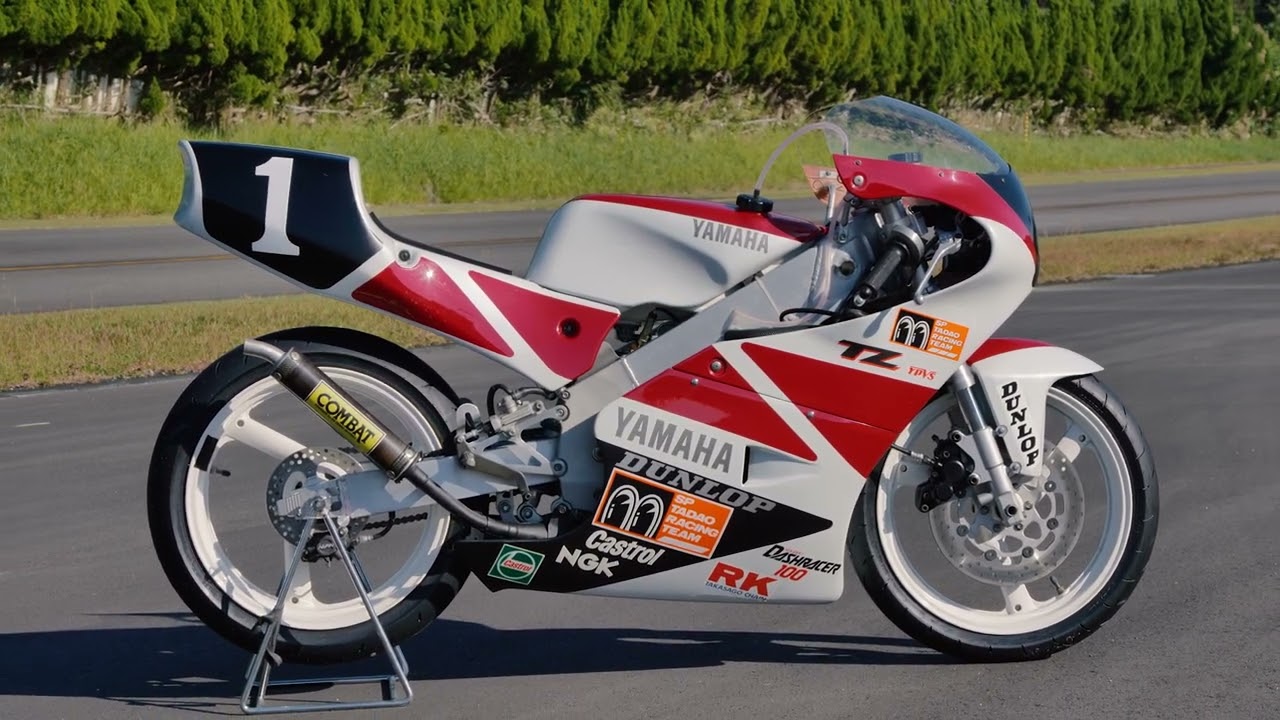 HISTORIC MODELS DEMONSTRATION RUN  TZ125