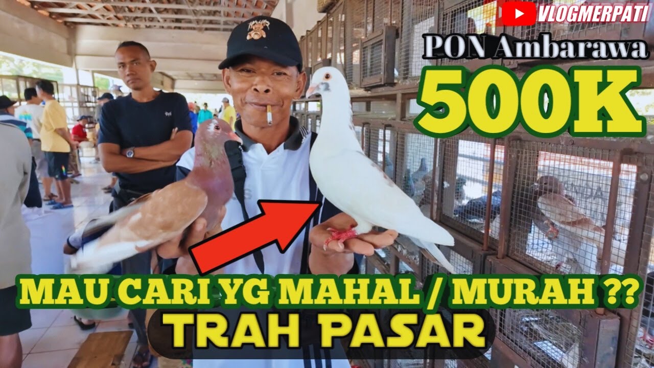 MAU CARI YANG MAHAL ATAU MURAH ?? | VLOG PASAR PON PART 3