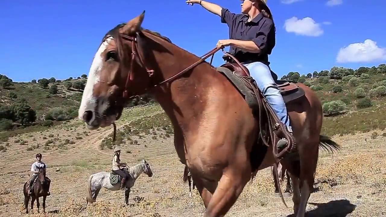 La Corse &agrave; Cheval