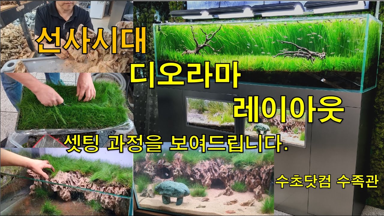 선사시대를 배경으로한 디오라마 수족관 레이아웃입니다.