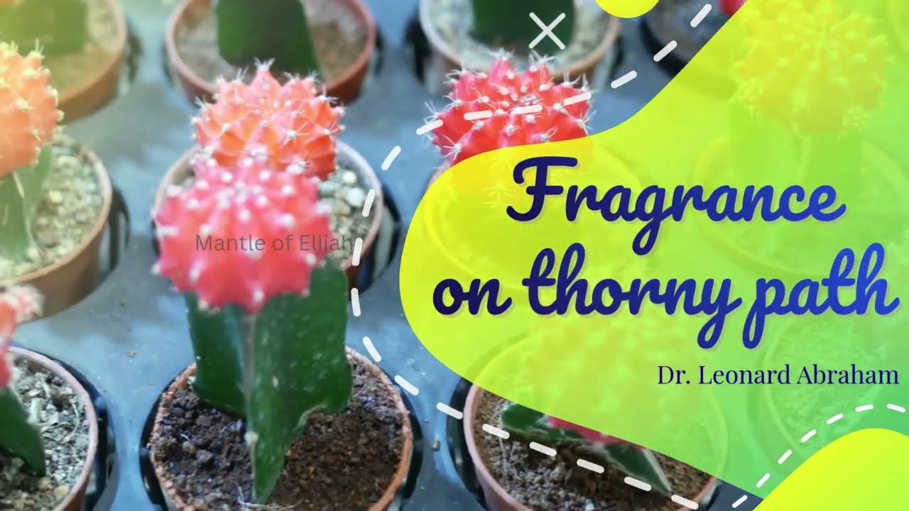 Fragrance on thorny path || Dr Leonard Abraham || Sermon