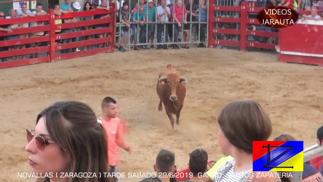 NOVALLAS  (ZARAGOZA)  TARDE VACAS EN LA PLAZA  (SABADO 29 JUNIO 2019)  SANTOS ZAPATERIA
