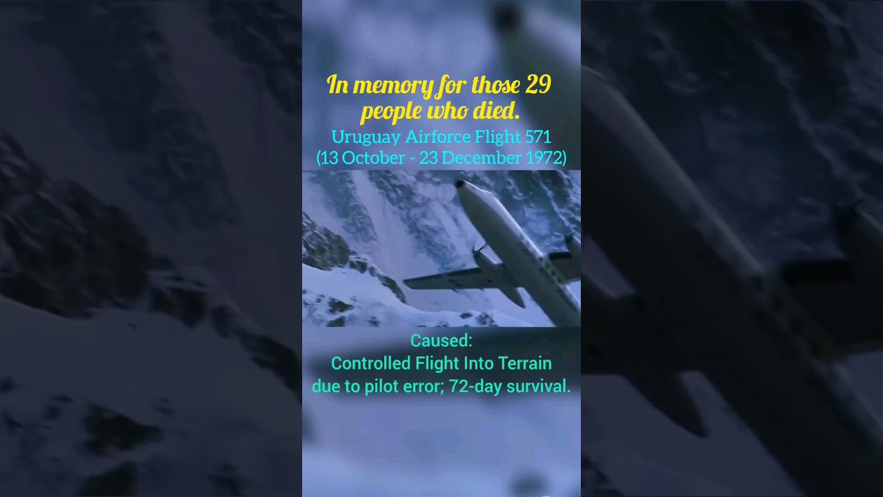 Uruguay Air Force Flight 571 || Based On Real Accidents (not mean for disrespect!) #shorts
