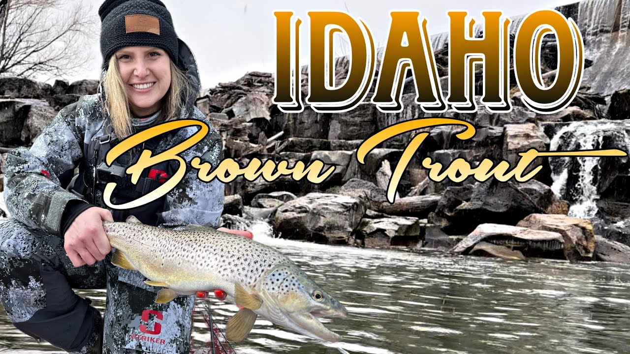 IDAHO Trout Fishing - Snake River (WATERFALLS!)