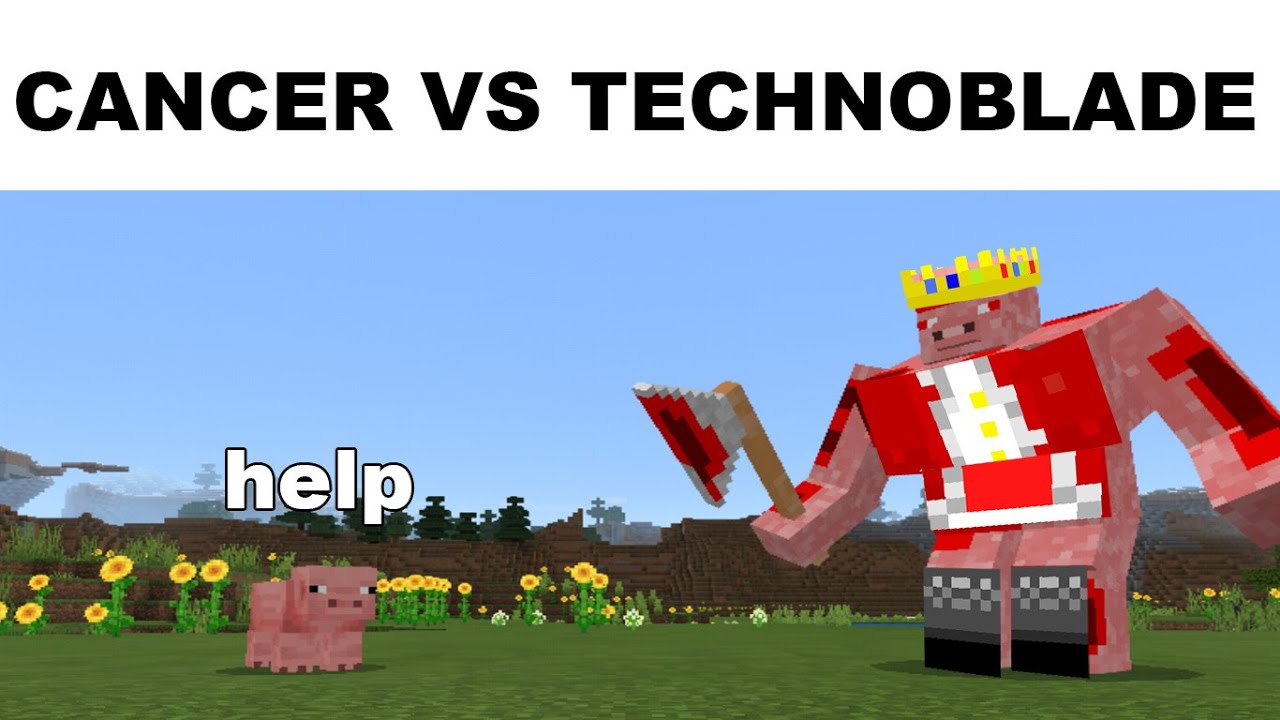 Мемы Technoblade, которые дают мне жизнь
