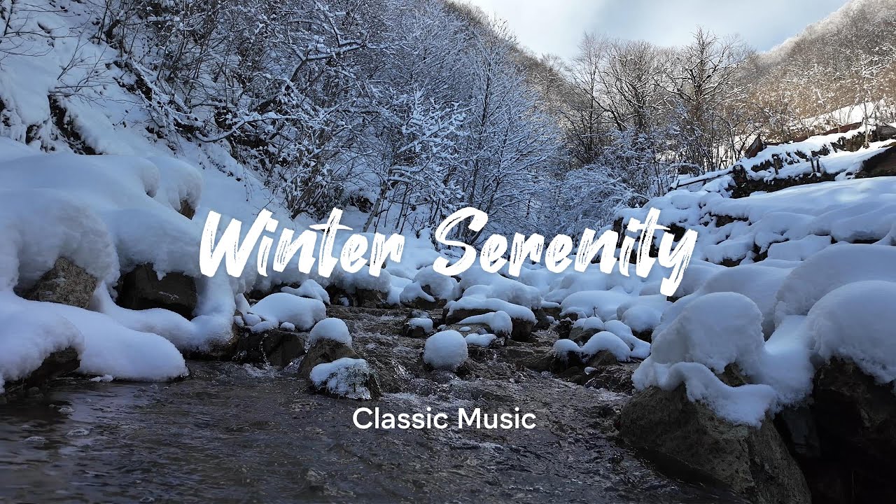 Winter Serenade. #klasikmüzik #classicalmusic #winteraesthetic  #instrumental #focusmusic