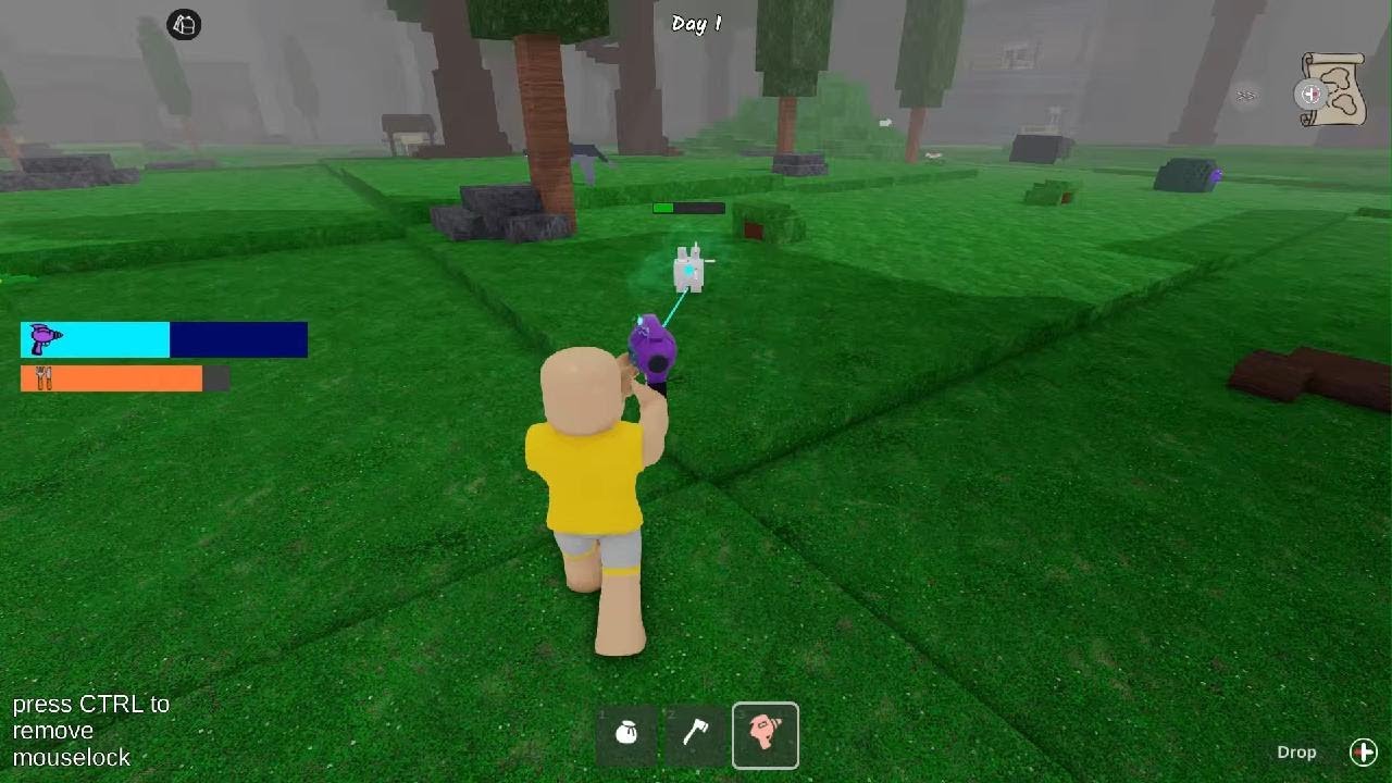 playing 99 in the forest
