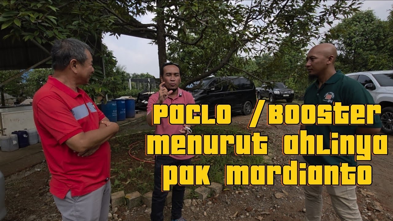 PACLO MENURUT PAK MARDIANTO