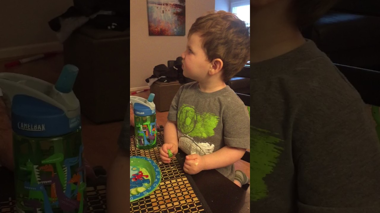 Story of Passover in 25 Seconds