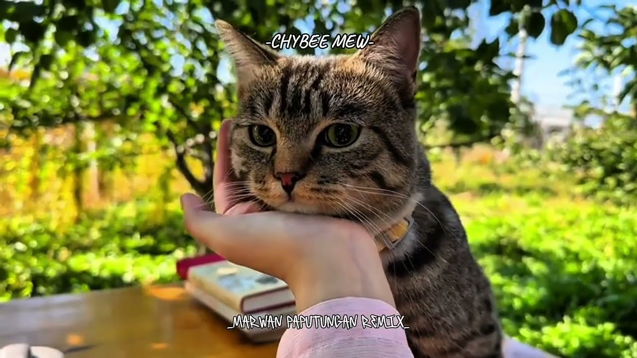 DJ TIKTOK🌊 (CHYBEEMEW) RAMADHAN SAHABAT SEJATI  MARWAN PAPUTUNGAN REMIX!