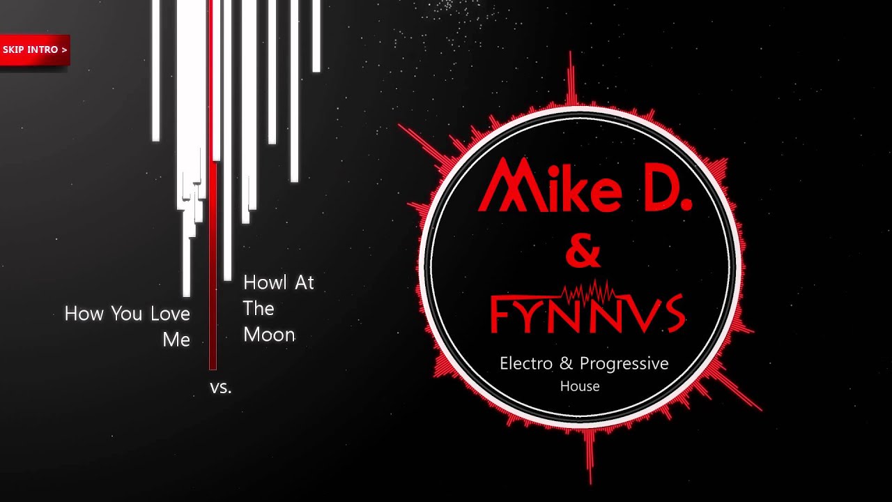3lau vs. Stadiumx - How You Love Me vs. Howl At The Moon (Mike & Fynn Mashup)