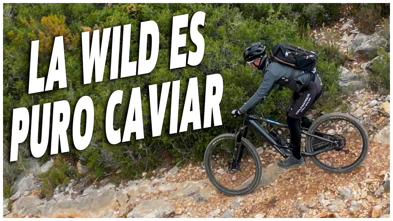 Test Orbea Wild 2024