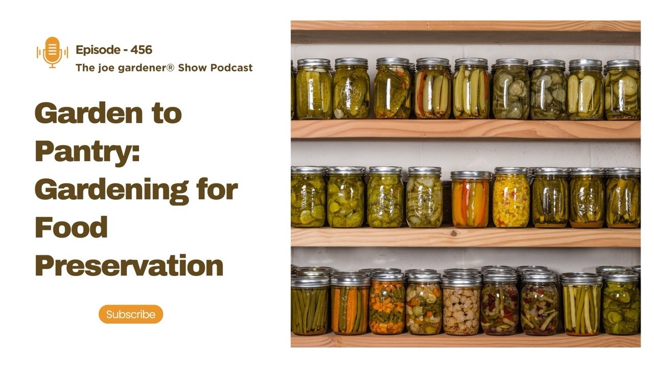 From Garden to Pantry: How to Grow a Garden for Food Preservation
