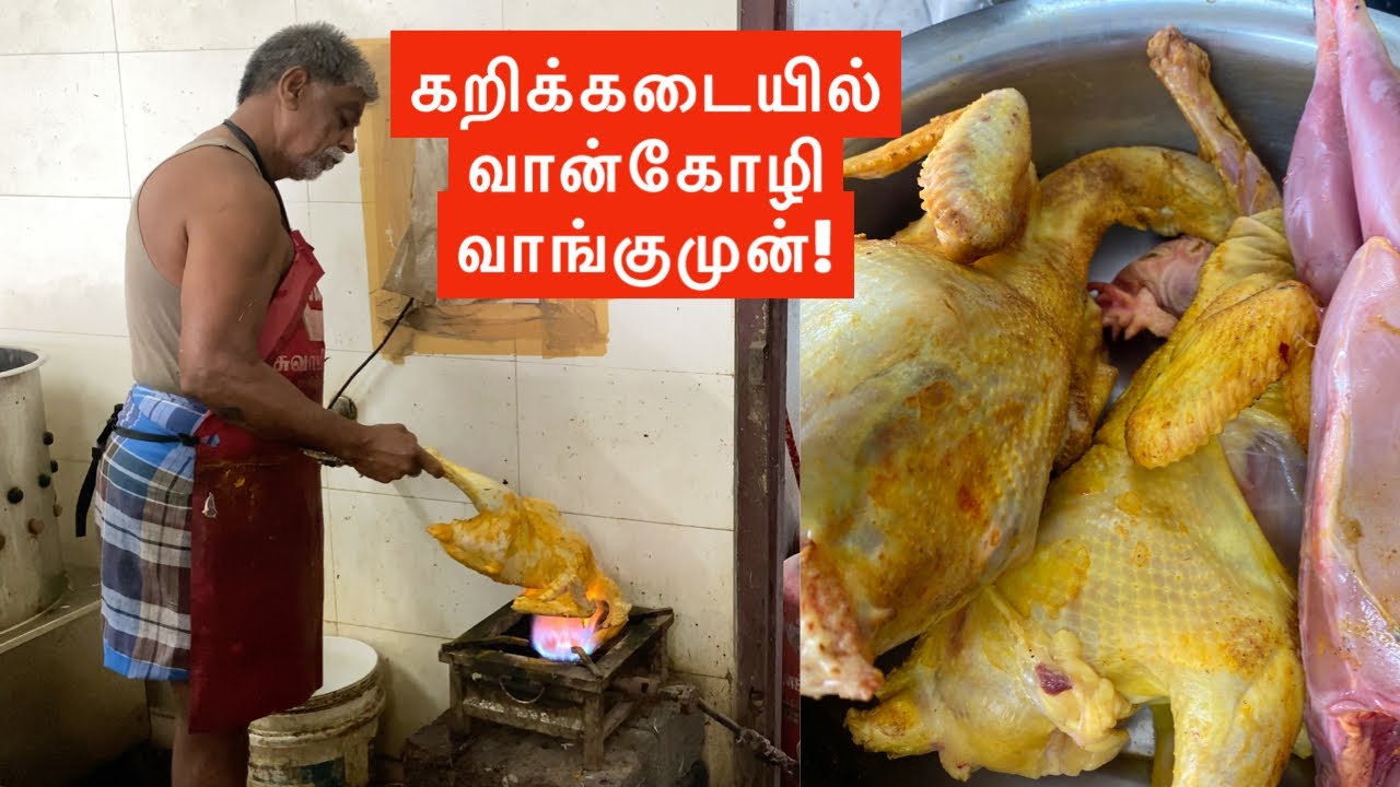 சென்னை கறிக்கடையில் வான்கோழி! Turkey in Chennai curry shop!
