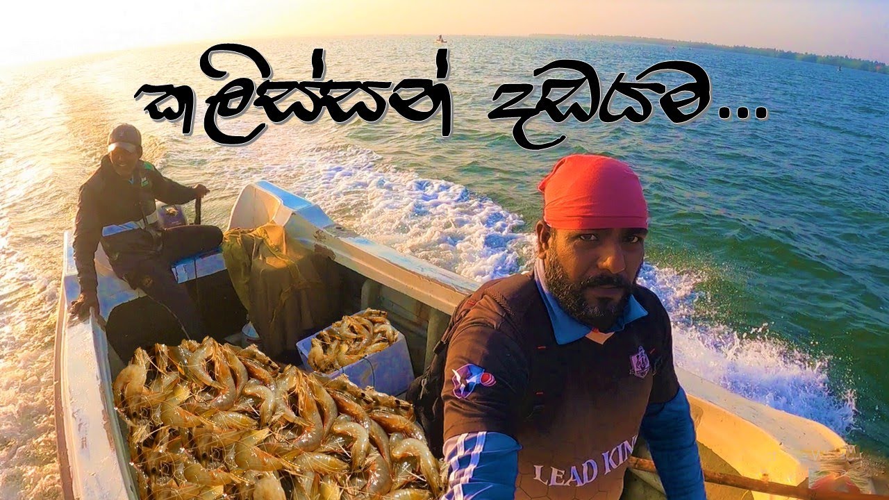 කලිස්සන් දඩයම | ඉස්සන් දඩයමේ යමුද | @wishwatiyubaya 🦐😲👣
