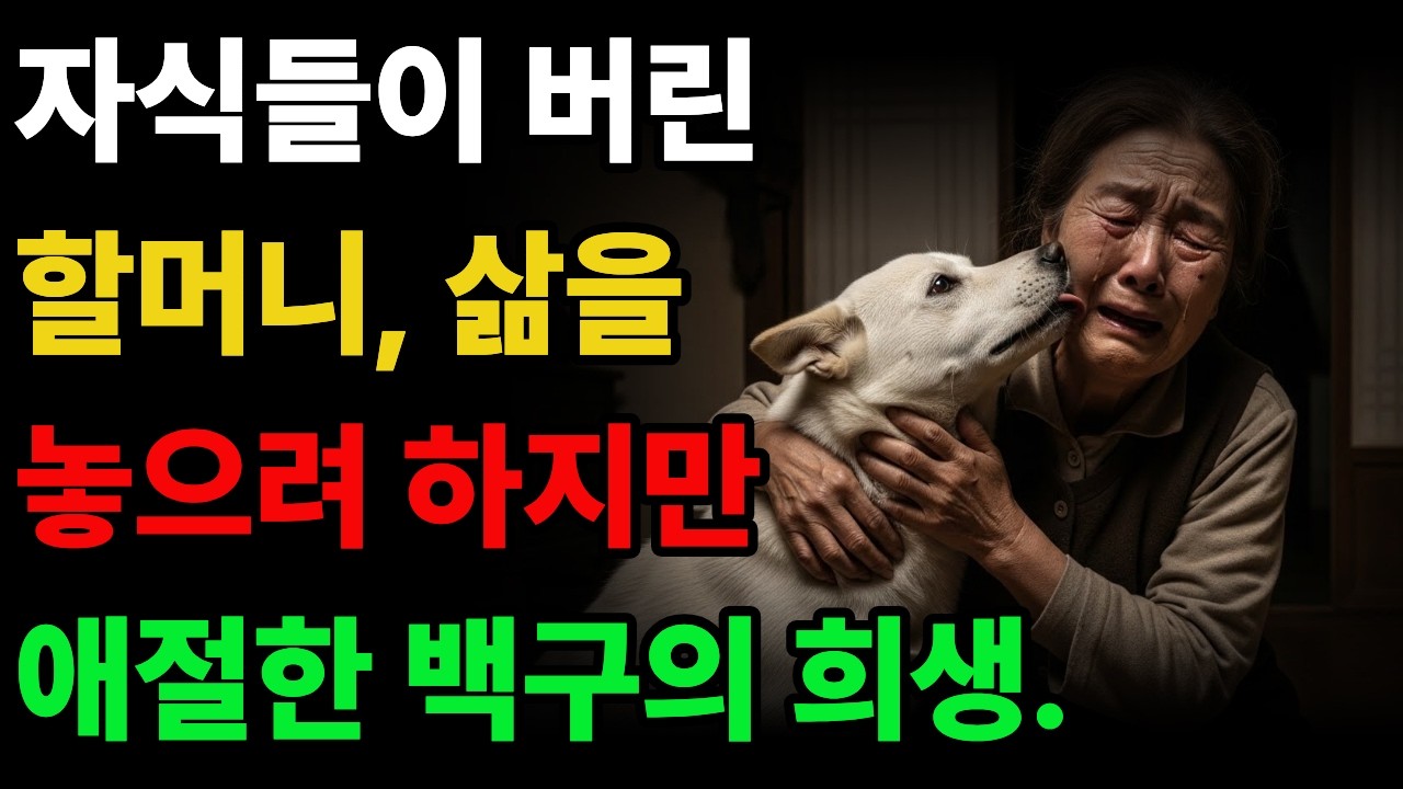 자식에게 버림받은 할머니, 두려움에 삶을 놓으려 하는데... #진돗개사연 #감동사연 #백구 #황혼사연 #강아지 #오디오북