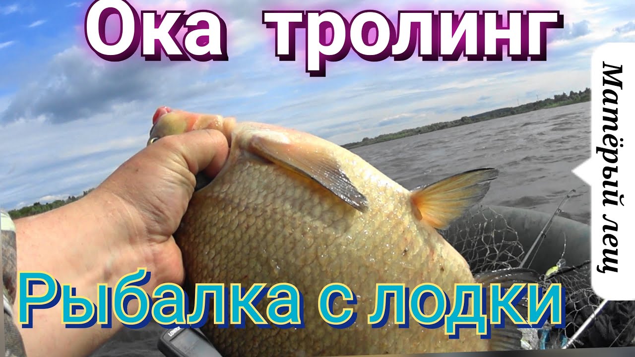 рыбалка на ОКЕ , ВЛАДИМИРСКАЯ область