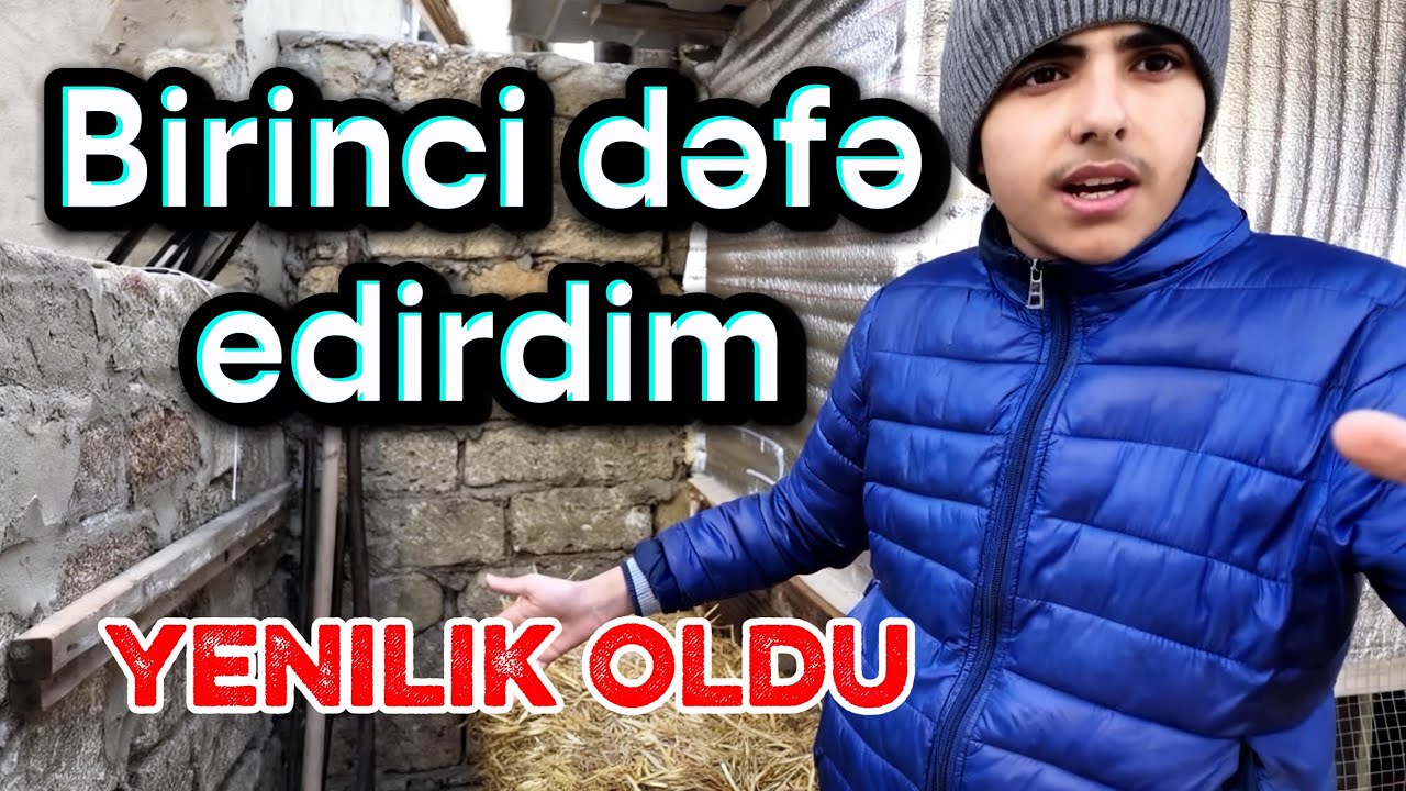 Cücələrdə yenilik