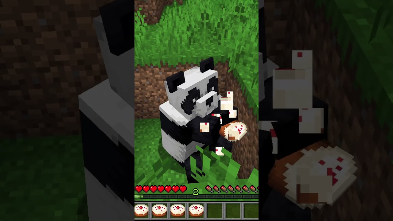 SECRET Minecraft Panda Facts!  #survival  #minecraft