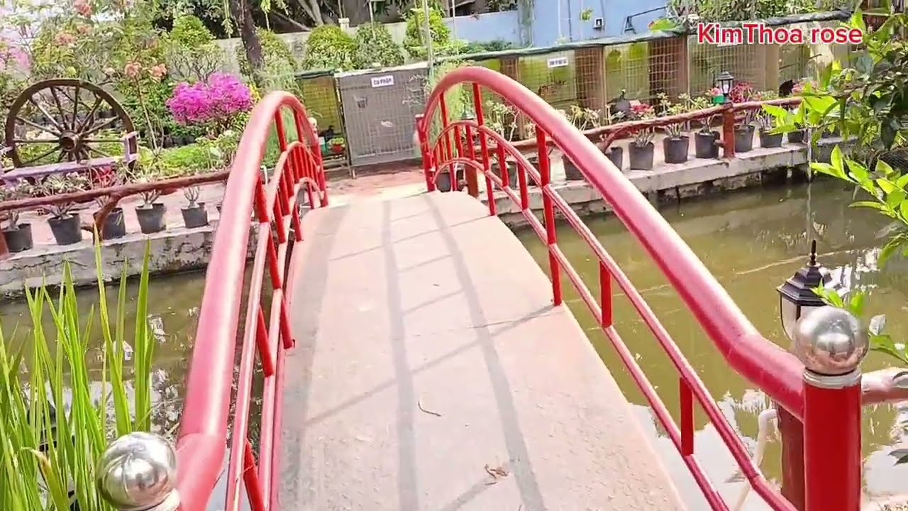Cùng các bạn đi khu du lịch miệt vườn tập 1 
