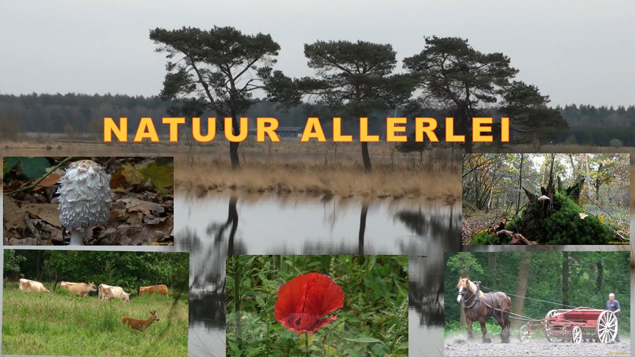 Natuur allerlei