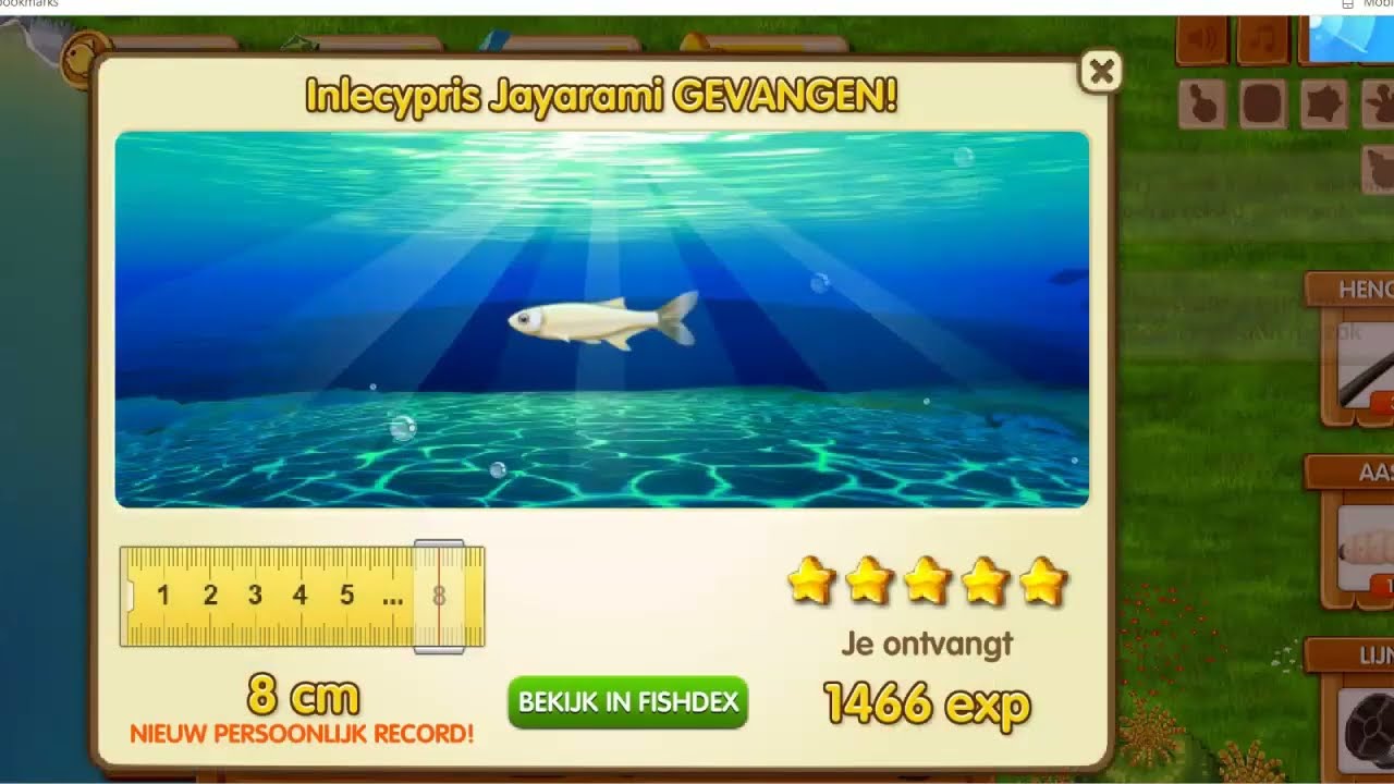 INLECYPRIS JAYARAMI 5* - FISHAO