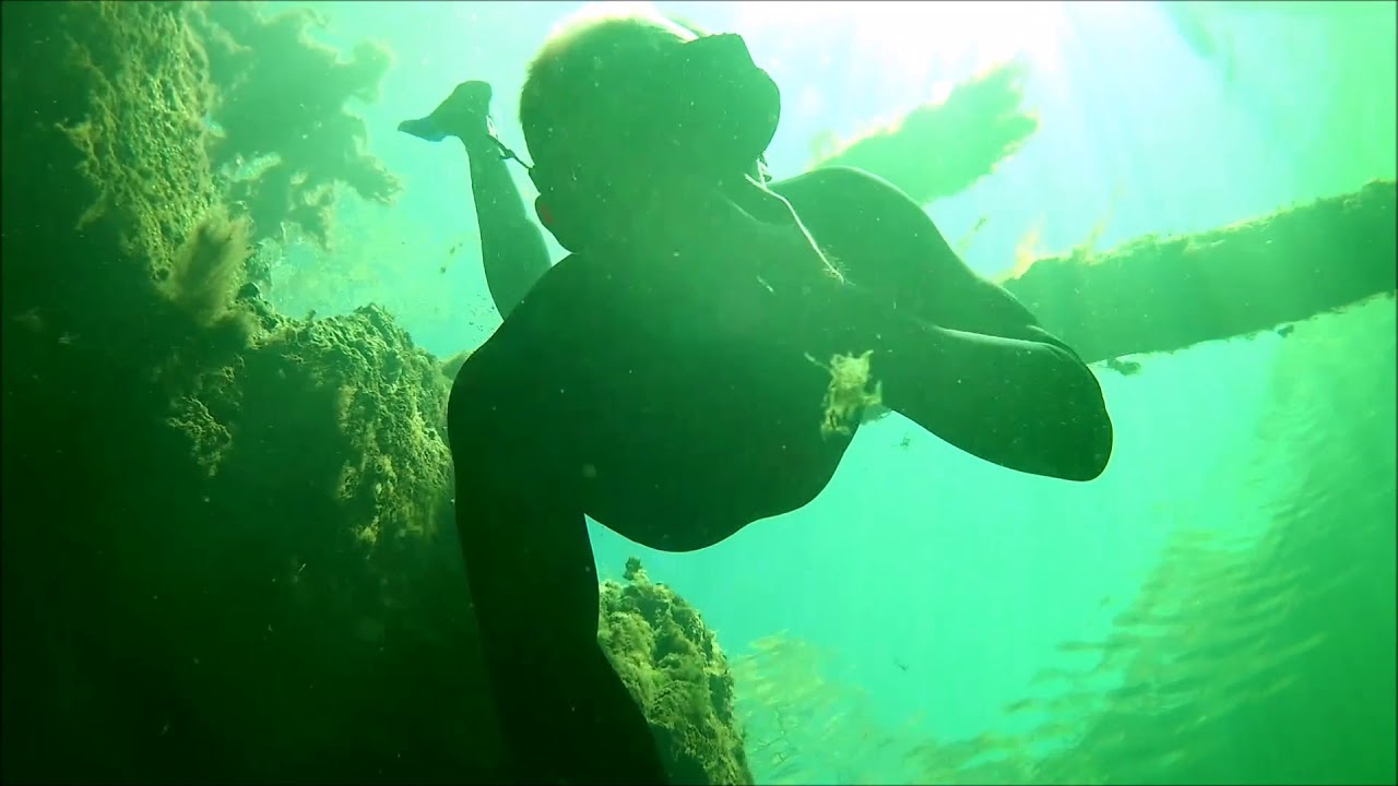 Chassahowitza Swamp Springs