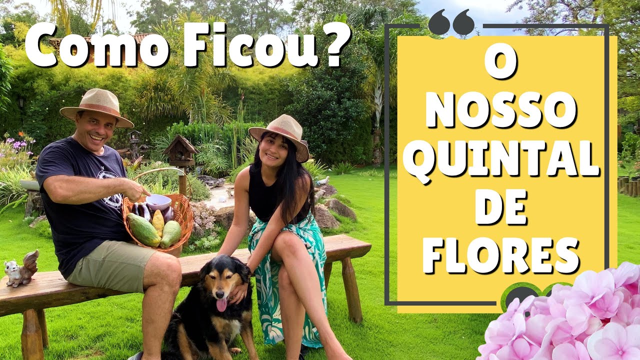 🌺 COMO FICOU O NOSSO QUINTAL DE FLORES 🌺
