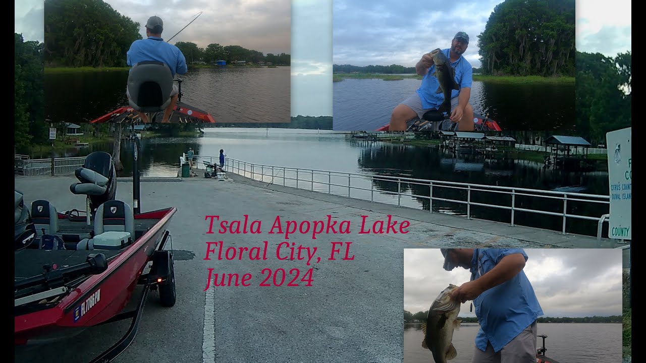 Tsala Apopka Lake - Floral City, Florida Bass Fishing