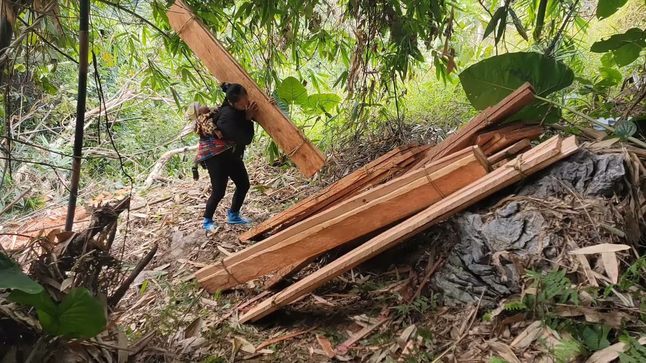 The daily life of a single mother and her son: harvesting and selling produce | Đặng Thị Thủy