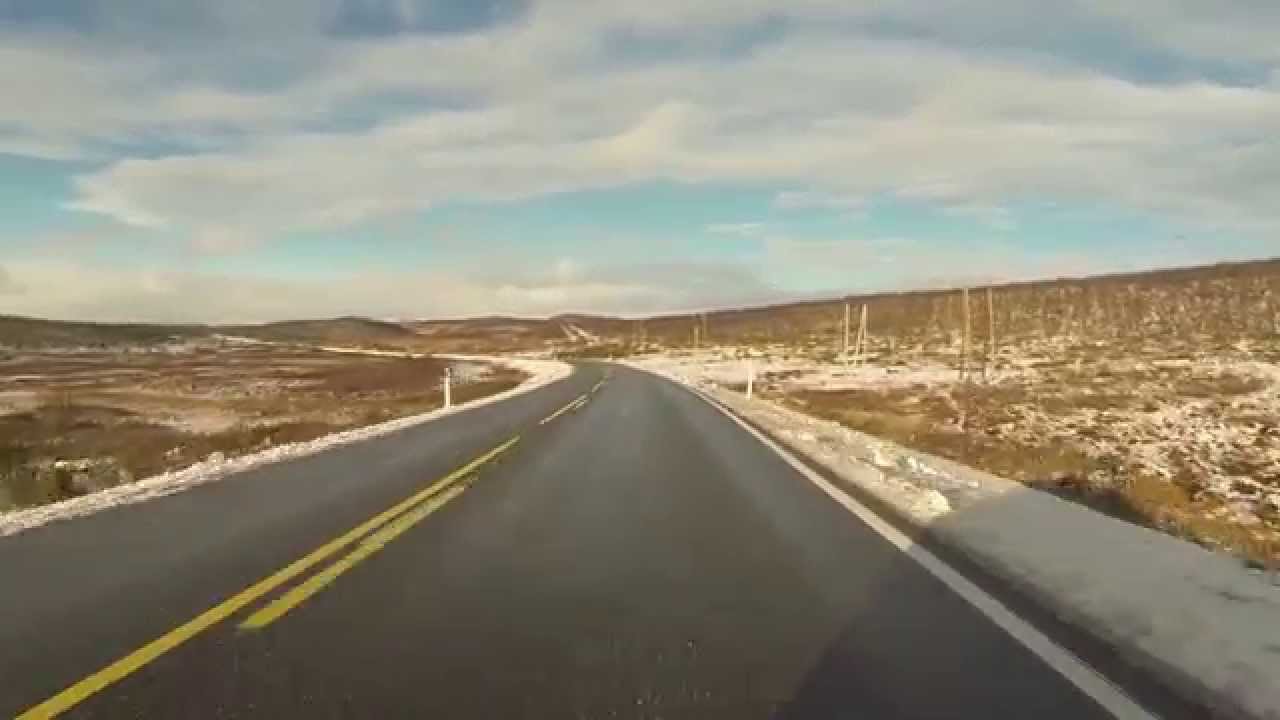 Pasienthistorier ⎮ Ble slått ned av lynet