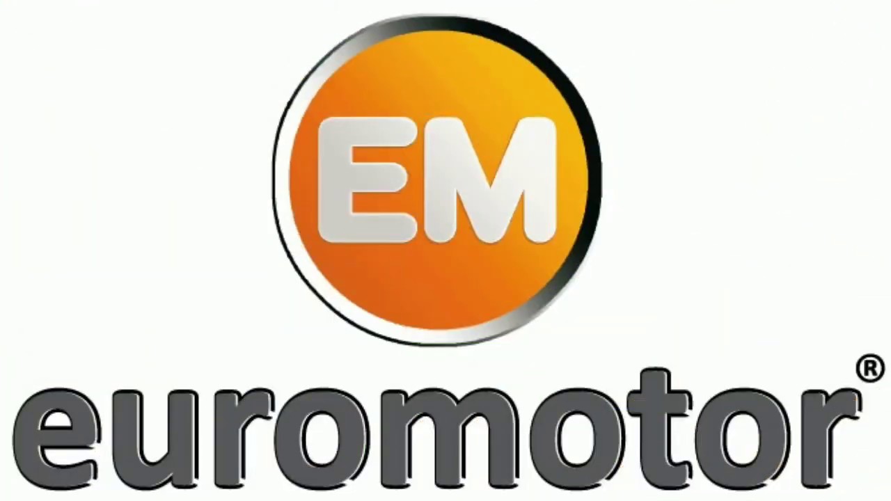 Por qu&eacute; Euromotor?
