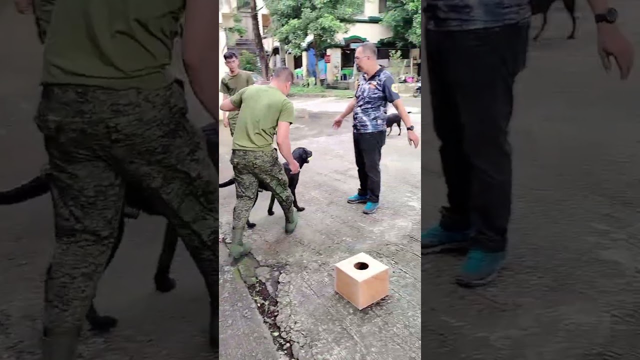MILITARY K9 HANDLER JOURNEY | Asiong Salakay™