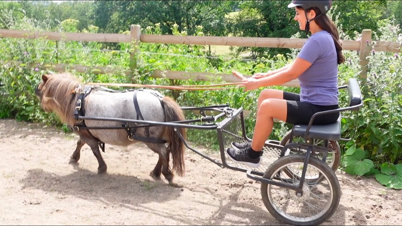 Zum 1.Mal mit Minikutsche fahren ♥