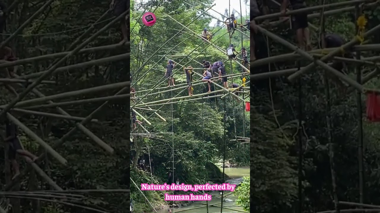 Bamboo Bridge Wonder: How Villagers Built Strength from Nature! 🌉🎋🤯 #EngineeringMarvel