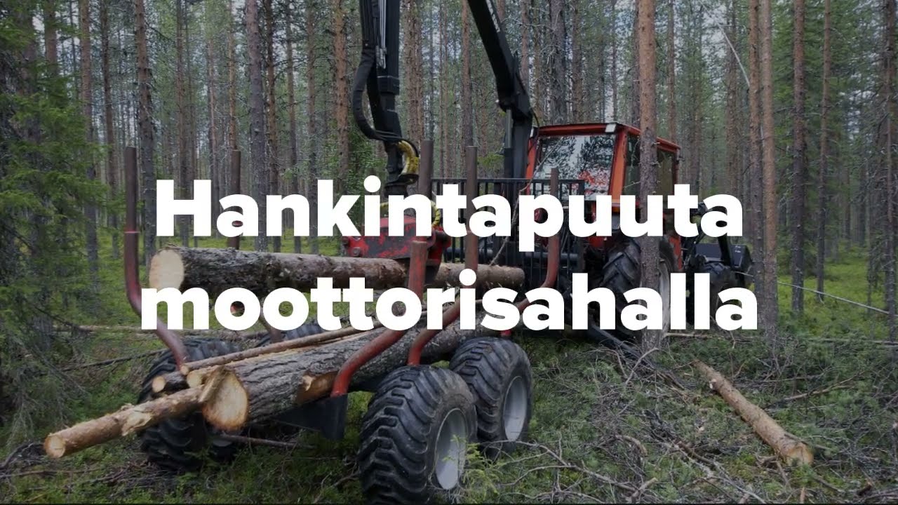 Aarre 2022 | N&auml;in hankintahakkaaja Terho Pumpanen valmistautuu harvennussavottaan