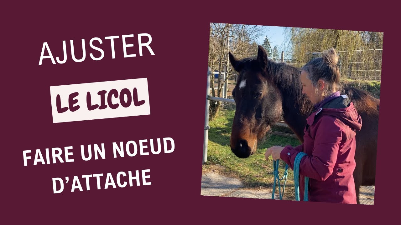 Comment ajuster le licol en corde et faire un noeud d’attache