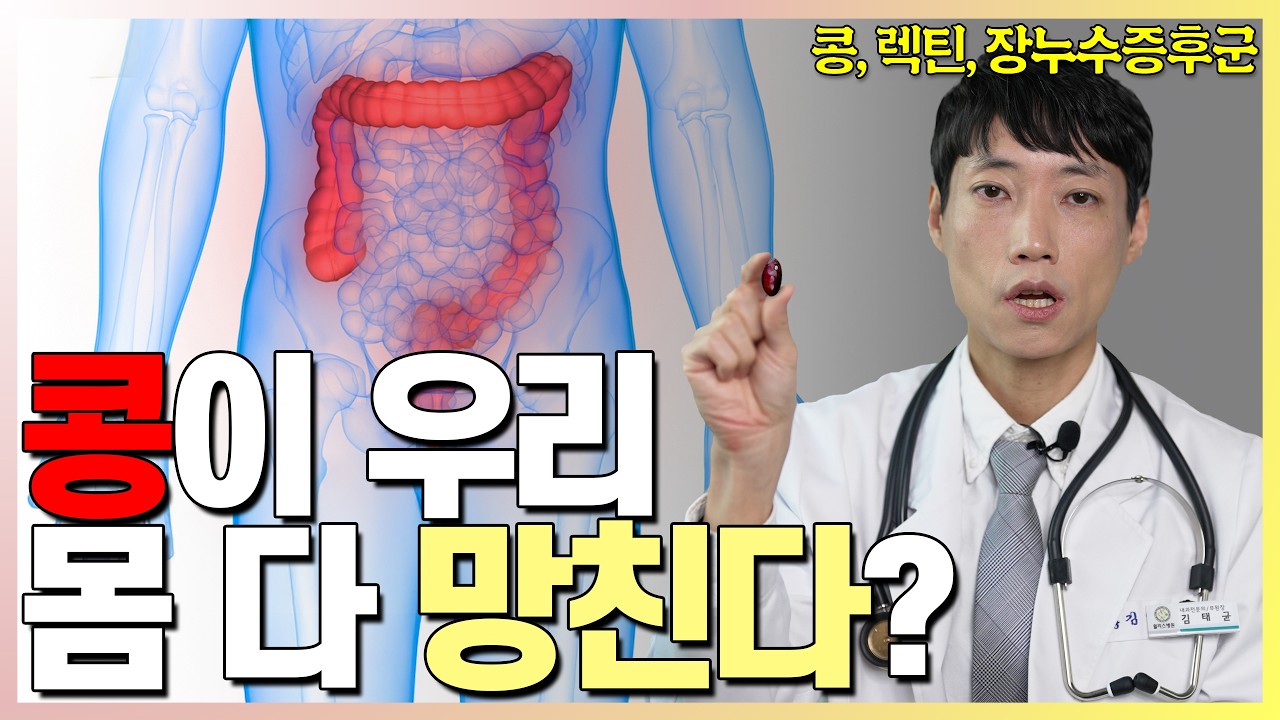 콩밥, 두부 진짜 몸에 해로운가? l 콩, 피틴산, 렉틴, 장누수증후군 l 닥터딩요