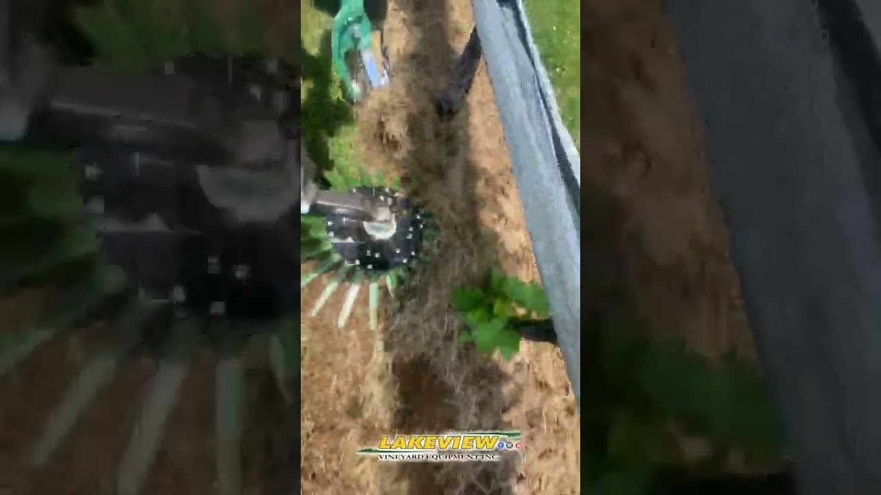 Mechanical Vineyard Weed Control - Clemens Finger/Weeder Roller working in Vineyards