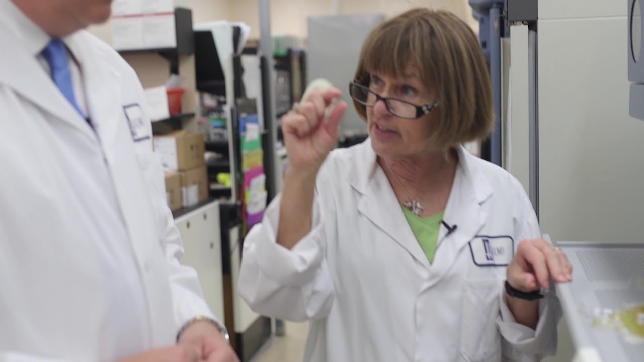 Rob learns what happens in Transfusion Medicine