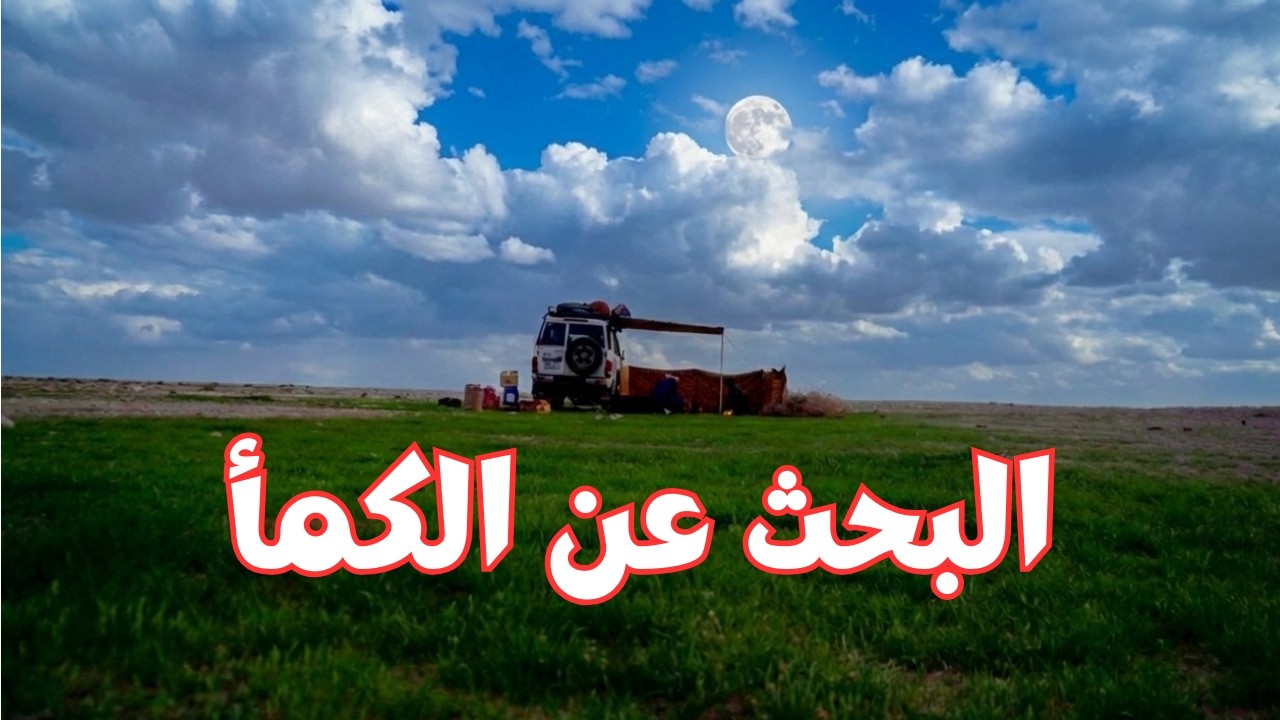 مقناص القطا والفقع 2026 في بادية السماوة