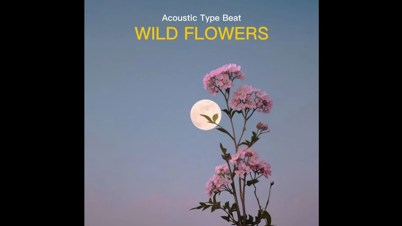 [FREE] Acoustic Guitar Type Beat 